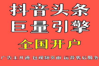 百度竞价与搜索引擎优化（SEO）结合的经典案例